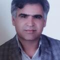 رضا دریایی