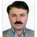 سعید عباسی