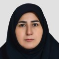 مهناز عبدالمحمدی