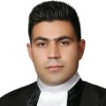 محمود سعادتی رزی