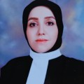زینب شارعی
