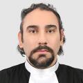 بهروز وکیلی