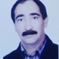 علی پاشاه خانی زاده