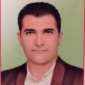 فرزاد شیخی