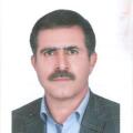 حسن فرزانه