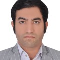 مهرداد صادقی گوغری