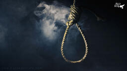 گذشت از قصاص