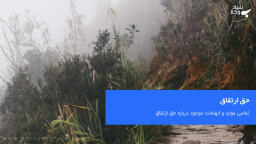 حق ارتفاق چیست؟