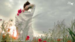 شرایط حقوقی برای طلاق غیابی از غایب مفقود‌الاثر