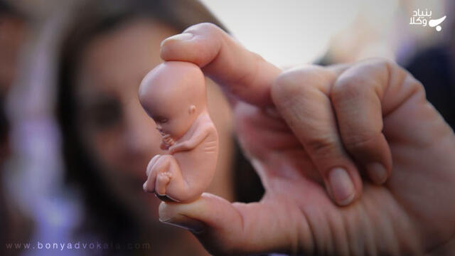 همه چیز درباره سقط جنین