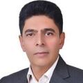 علیرضا لویمی