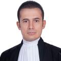 پوریا شکری