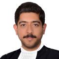 مجتبی محمدی