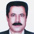 حسین محمدی