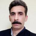 محمدعلی محمدی