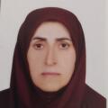 آمنه حسین زاده