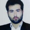 محمد هادی زارعی